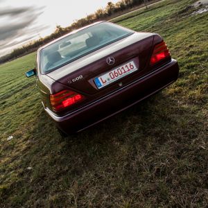 IMG_3178.jpg